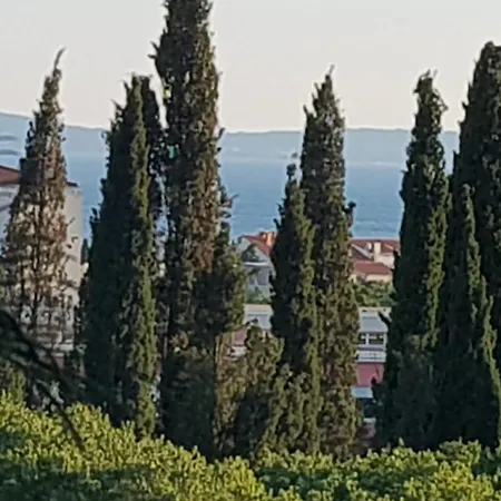 Davor * Spalato